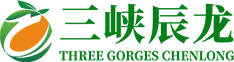 深圳市京都玉崎電子有限公司